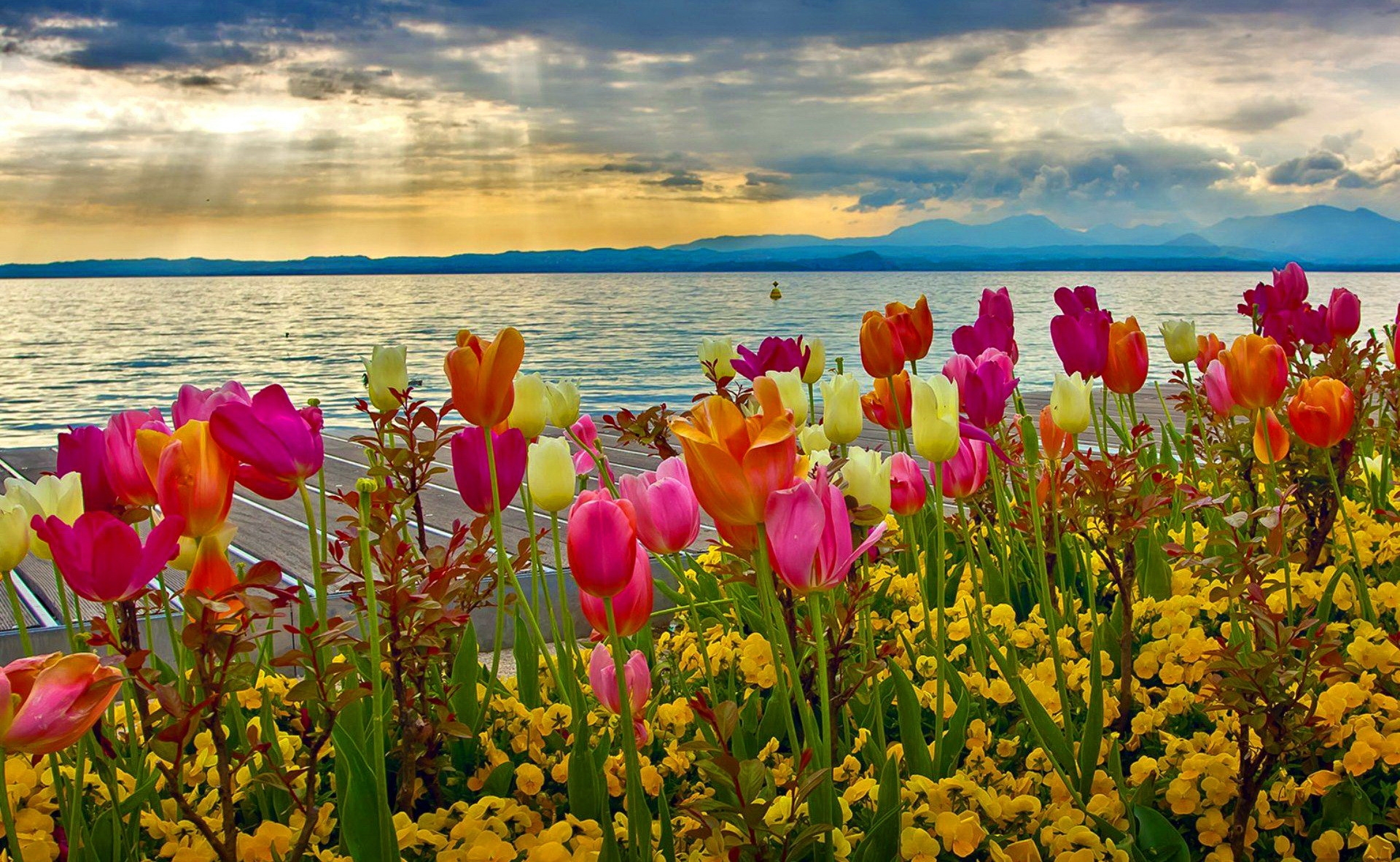 Beautiful Spring Images Free Download