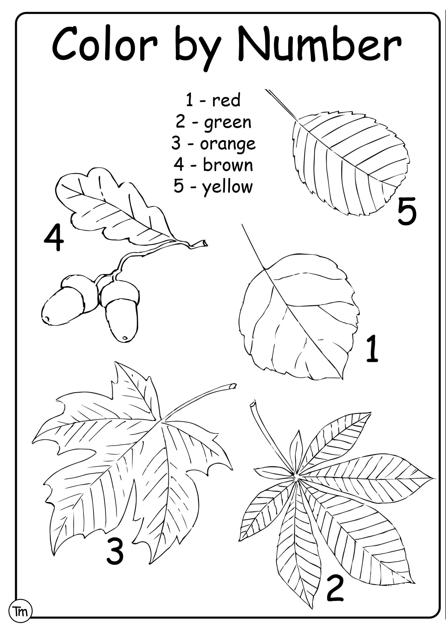 Big Fall Leaves Worksheets Printables