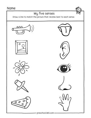 Five Senses Sorting Printable Totschooling Toddler Preschool