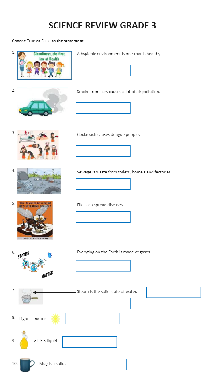 Grade 3 Science Worksheets