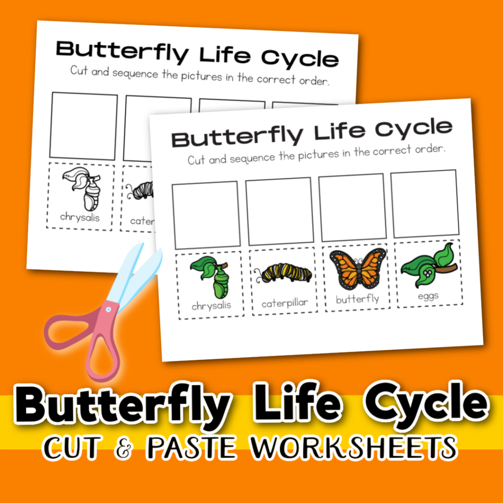 Life Cycle Of A Butterfly Worksheet Free Printable Worksheets 