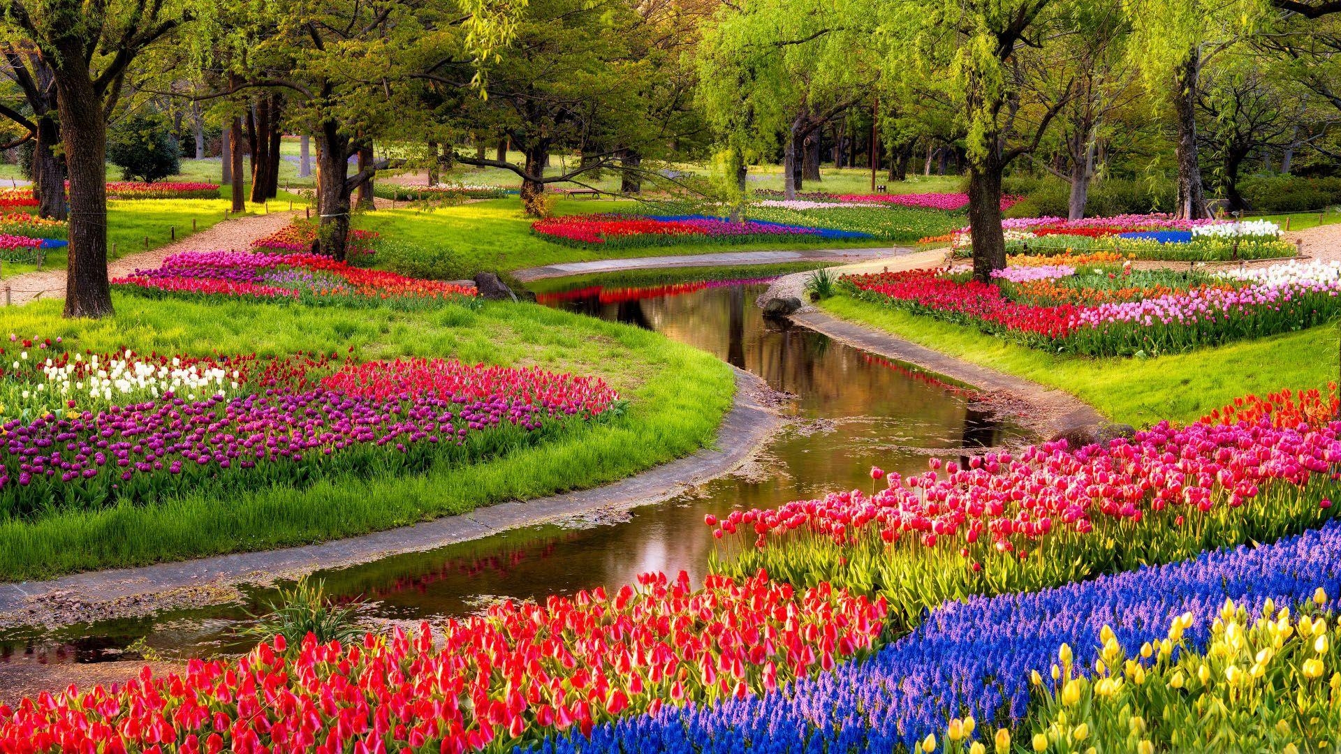 Most Beautiful Spring Wallpapers Top Free Most Beautiful Spring 