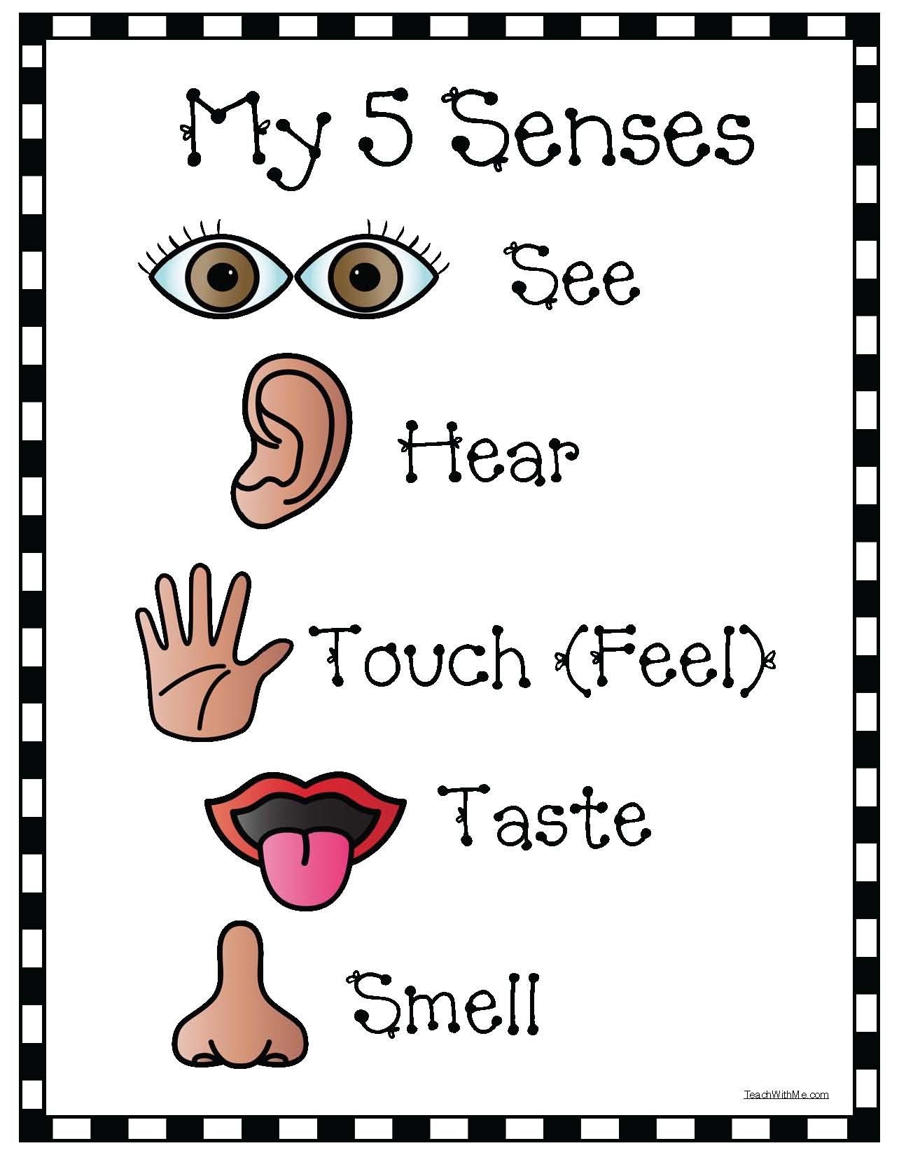Preschool 5 Senses Worksheets Free Printable Five Senses Wor