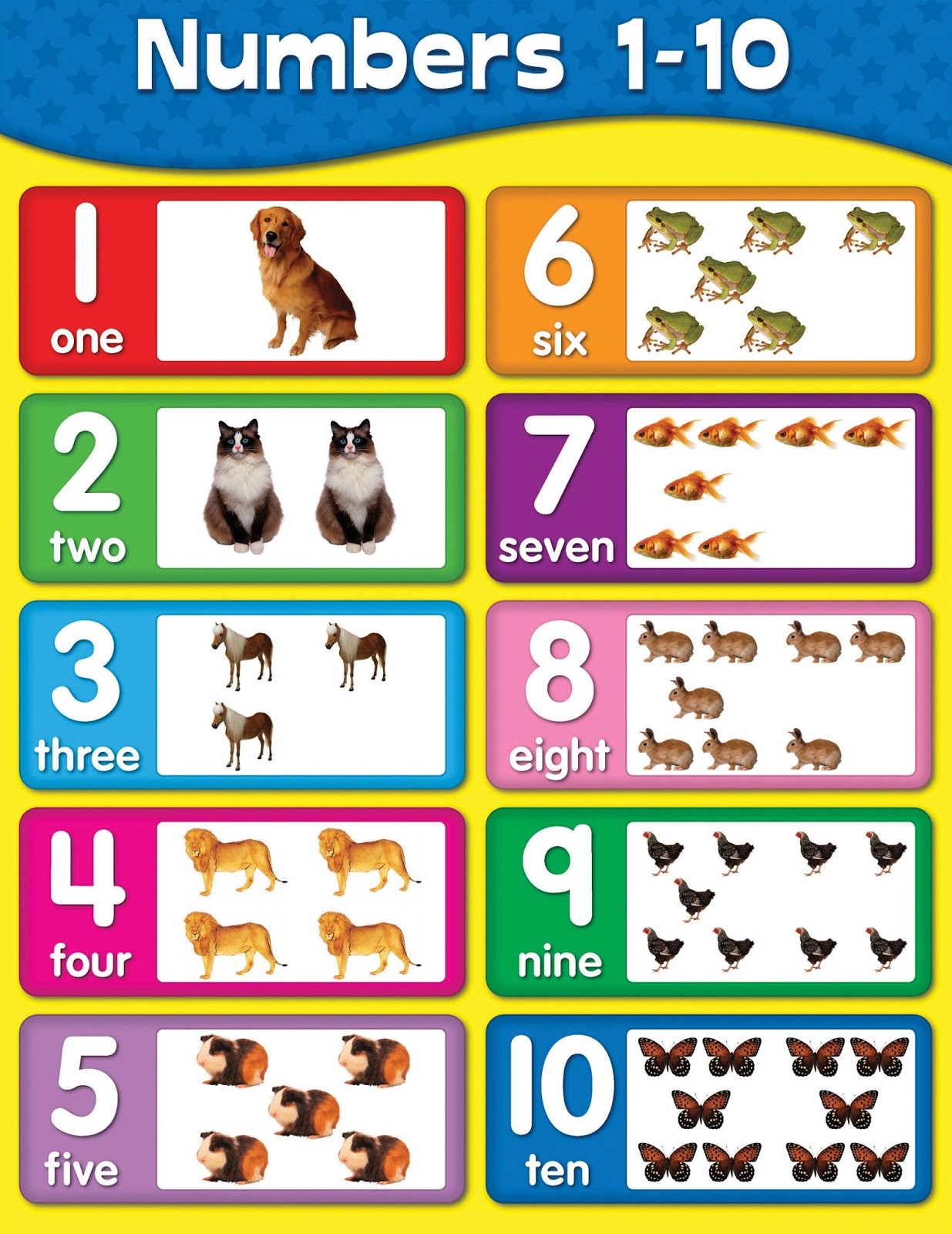 Printable Number Charts