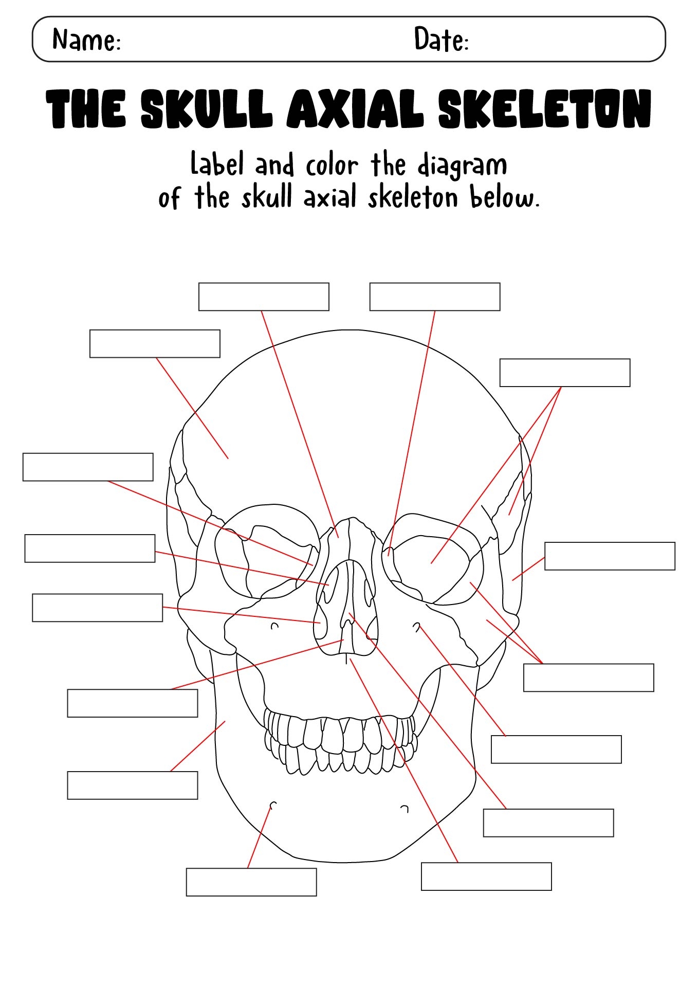 Printable Skeleton Labeling Worksheets