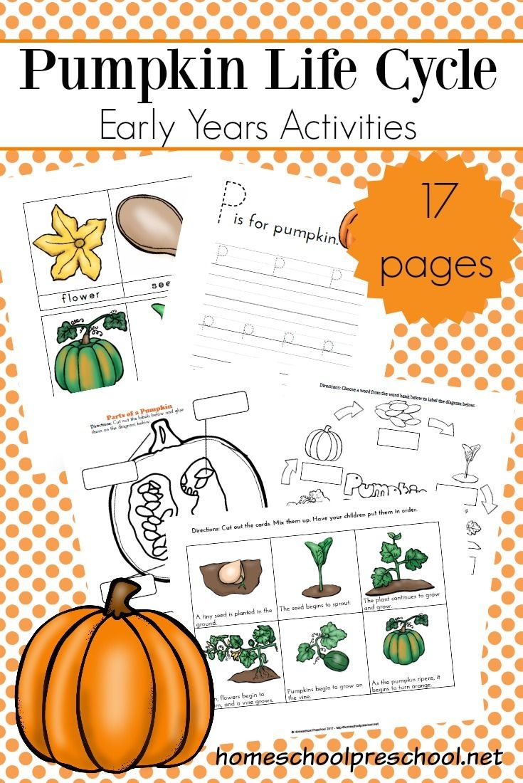 Pumpkin Life Cycle Image Free Printables