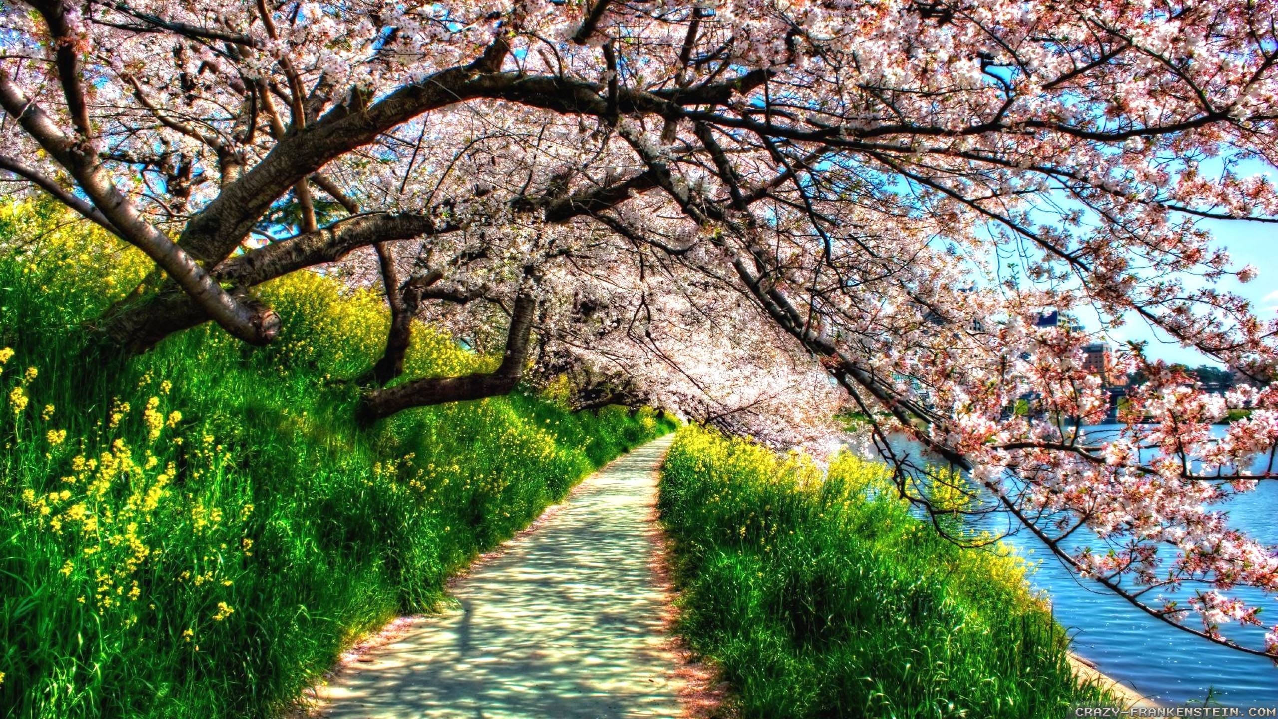 Spring Nature Wallpapers Top Free Spring Nature Backgrounds 