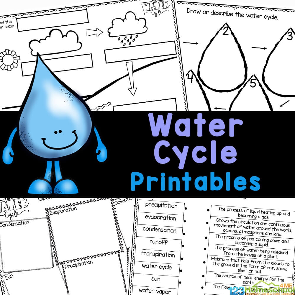 The Water Cycle Worksheet For Kids